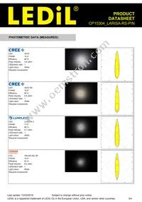 CP15304_LARISA-RS-PIN Datasheet Page 3