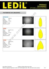 CP15308_LARISA-WW-PIN Datasheet Page 4