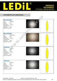 CP15309_LARISA-RZ-PIN Datasheet Page 4