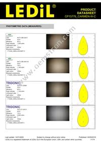 CP15776_CARMEN-W-C Datasheet Page 11