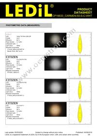 CP16633_CARMEN-50-S-C-WHT Datasheet Page 3