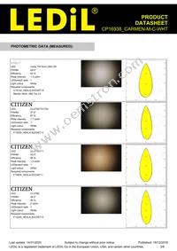 CP16938_CARMEN-M-C-WHT Datasheet Page 3