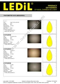 CP16939_CARMEN-W-C-WHT Datasheet Page 3