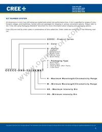 CP41A-RHS-CN0P0JJ4 Datasheet Page 9