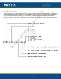 CP41B-AHS-CN0Q0454 Datasheet Page 10