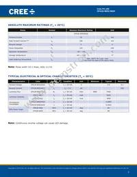 CP41B-WGS-CN0P0134 Datasheet Page 2