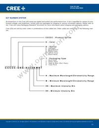 CP41B-WGS-CN0P0134 Datasheet Page 12