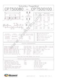 CPT500100D Datasheet Page 3