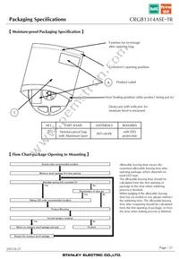 CRGB1314ASE-TR Datasheet Page 21