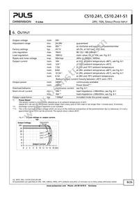 CS10.241-S1 Datasheet Page 8