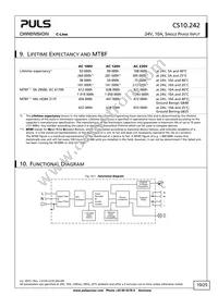 CS10.242 Datasheet Page 10