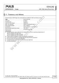 CS10.242 Datasheet Page 11