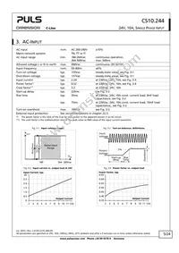 CS10.244 Datasheet Page 5