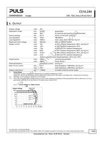 CS10.244 Datasheet Page 7