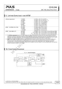 CS10.244 Datasheet Page 10