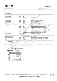 CS10.481 Datasheet Page 8