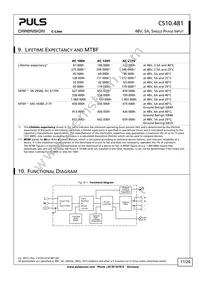 CS10.481 Datasheet Page 11