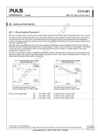 CS10.481 Datasheet Page 22