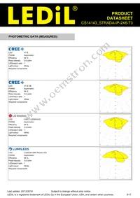 CS14143_STRADA-IP-2X6-T3 Datasheet Page 5