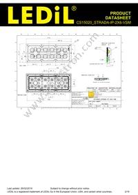 CS15020_STRADA-IP-2X6-VSM Datasheet Page 2