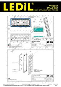 CS15223_STRADA-IP-2X6-T2-C-90 Datasheet Page 2