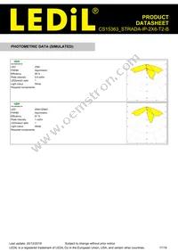 CS15363_STRADA-IP-2X6-T2-B Datasheet Page 17