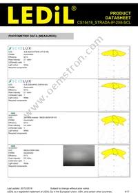 CS15418_STRADA-IP-2X6-SCL Datasheet Page 9