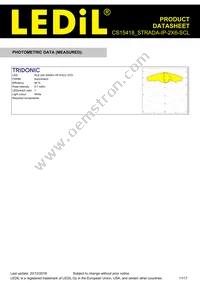 CS15418_STRADA-IP-2X6-SCL Datasheet Page 11