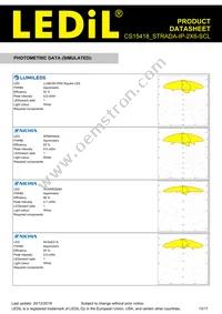 CS15418_STRADA-IP-2X6-SCL Datasheet Page 13