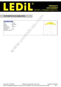 CS15871_STRADA-IP-2X6-T3-L Datasheet Page 10