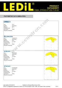 CS15886_STRADA-IP-2X6-T2-B-90 Datasheet Page 10