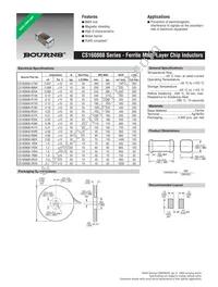 CS160808-39NK Datasheet Cover