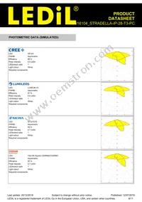 CS16104_STRADELLA-IP-28-T3-PC Datasheet Page 8