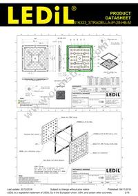 CS16323_STRADELLA-IP-28-HB-M Datasheet Page 2