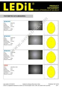 CS16324_STRADELLA-IP-28-HB-W Datasheet Page 6