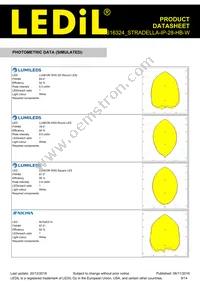 CS16324_STRADELLA-IP-28-HB-W Datasheet Page 9