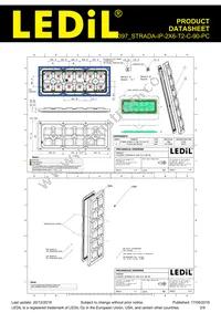 CS16397_STRADA-IP-2X6-T2-C-90-PC Datasheet Page 2