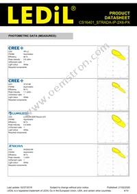 CS16401_STRADA-IP-2X6-PX Datasheet Page 4