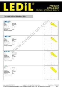 CS16401_STRADA-IP-2X6-PX Datasheet Page 8