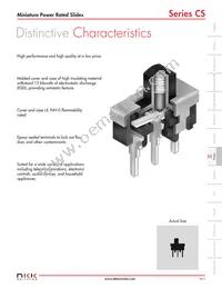 CS22BNW03 Datasheet Page 2