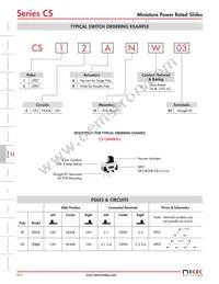 CS22BNW03 Datasheet Page 3