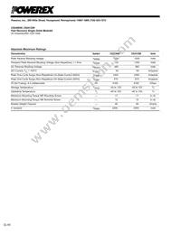 CS241250 Datasheet Page 2