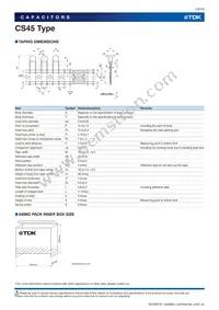 CS45-E2GA332M-VKA Datasheet Page 10