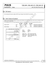 CS5.241-S1 Datasheet Page 7