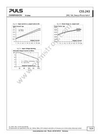 CS5.243 Datasheet Page 5