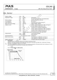 CS5.243 Datasheet Page 7