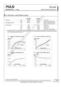 CS5.243 Datasheet Page 9