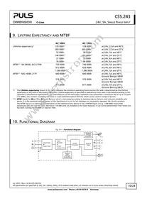 CS5.243 Datasheet Page 10