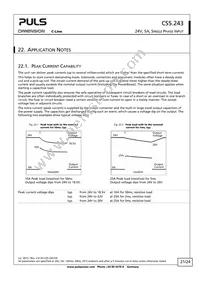 CS5.243 Datasheet Page 21