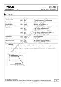 CS5.244 Datasheet Page 6